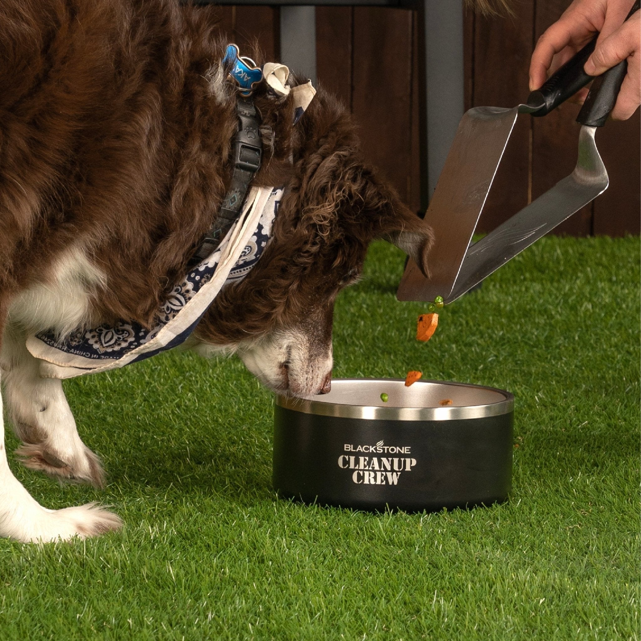 Insulated Dog Bowl